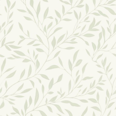 Image de Johannes Light Green - 1054601-03